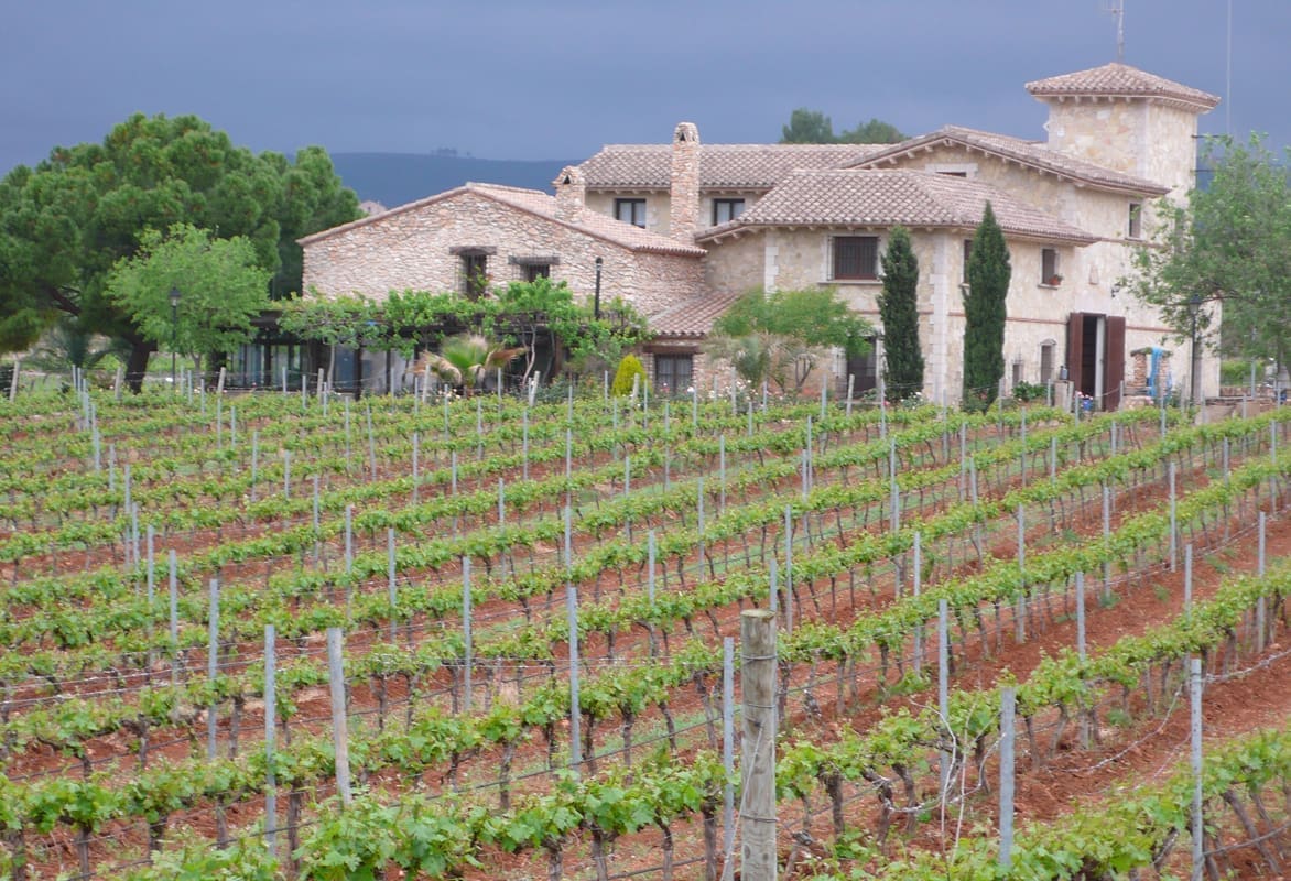 Bodegas Y Viñedos Baron D´alba