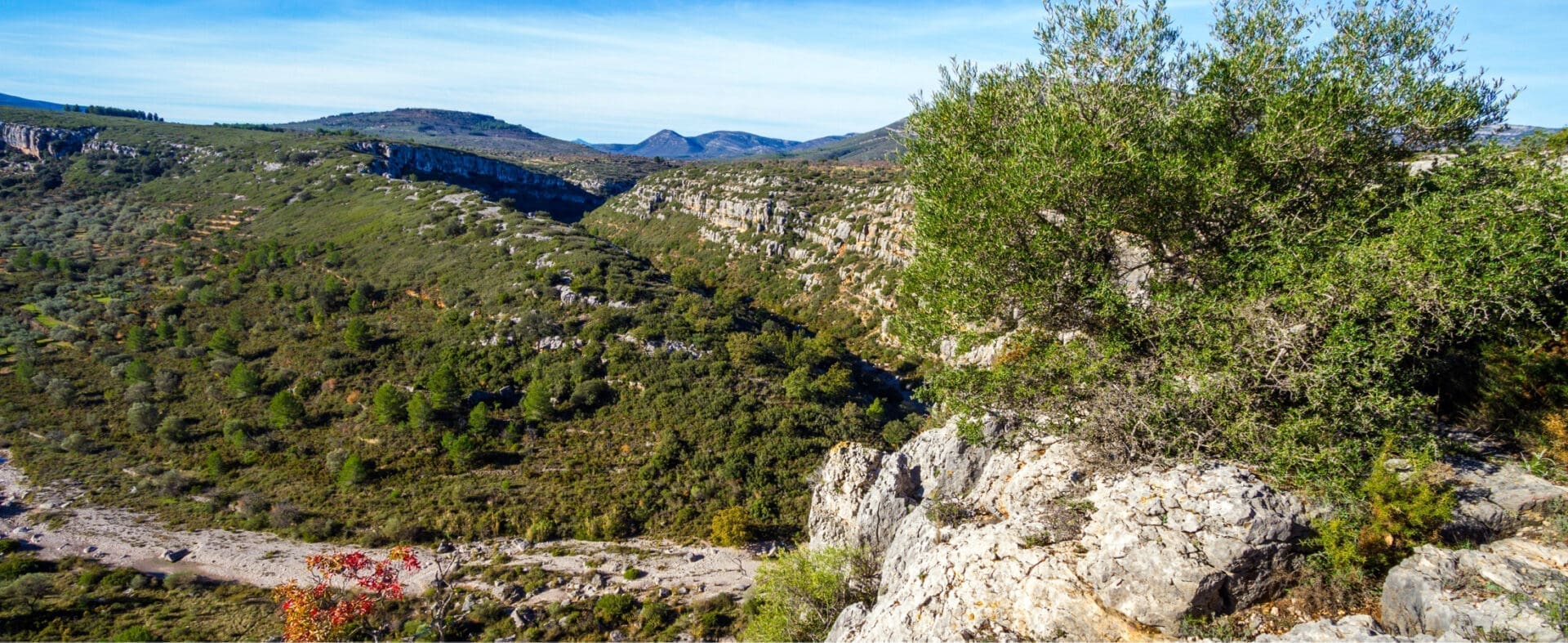 El Baix Maestrat