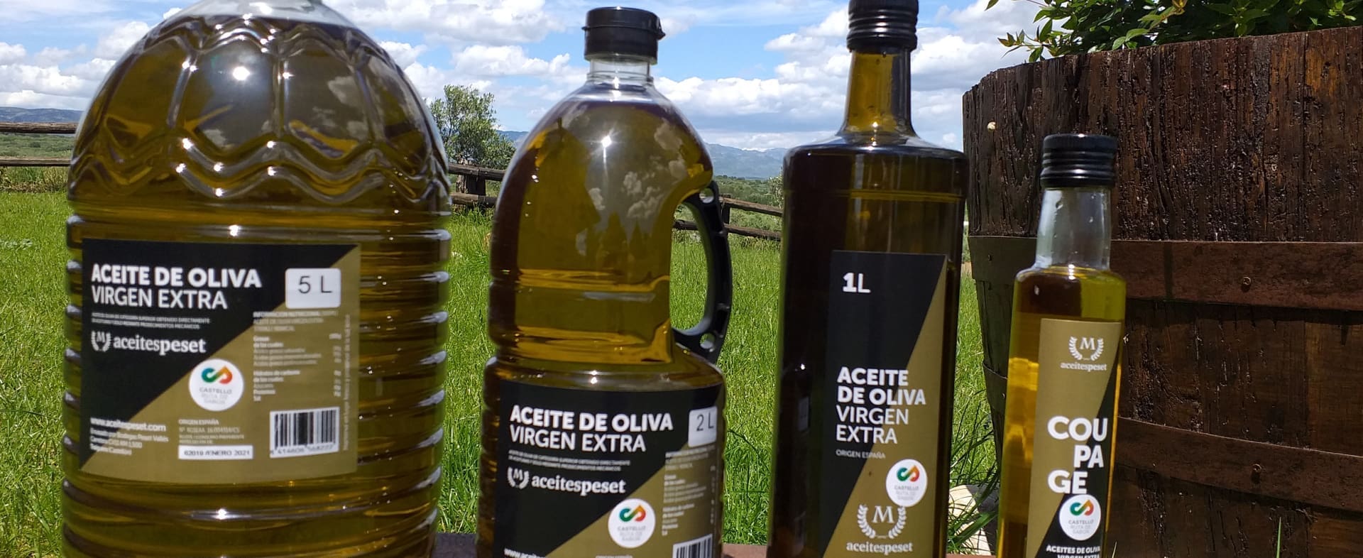 Ruta del Aceite y de los Olivos Milenarios