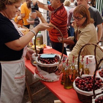 Cerezos, viñas y oliveras