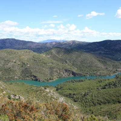 Cervezas artesanas y naturaleza