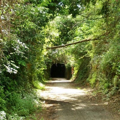 Vía verde de la minería y paisaje de cerezos