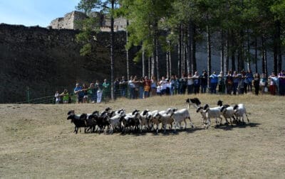 Feria ganadera y agrícola de Morella