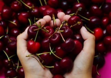 Cherry fair, art and tradition